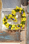 Heart-shaped spring wreath of forsythia and hyacinth florets