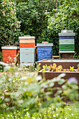 Bee Stand In The Garden