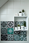 Cacti on square shelf module on wall with patterned tiles