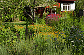 Naturgarten mit Gartenhaus