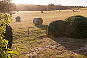Hay bales in the landscaped garden