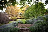 Low stone wall with lantern surrounded by lavender in a landscaped garden