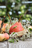 Gartentisch mit roten Williamsbirnen, kleinen Äpfeln und Namensschild