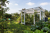 DIY-Tomatenhaus aus alten Fenstern im Garten