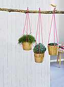 Homemade hanging baskets with woven planters