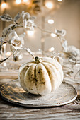 A still life with white pumpkin