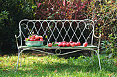 A garden bench with a bowl of red apples