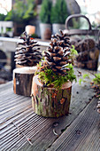 Pine Cones On Tree Piece