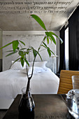 View past leafy branches in vase on table to double bed with white bed linen against concrete partition