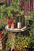 Winter Decoration With Pine, Mistletoe, Rosehips And Lantern