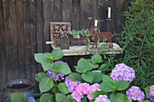 Hydrangea in front of stone table and vintage objets
