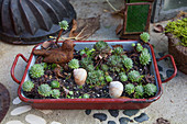 Vintage baking dish planted with succulents and decorated with bird ornament and snail shells