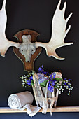 Summer flowers in zinc bucket enclosed in pieces of driftwood on shelf below hunting trophy on wall