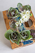 Arrangement of cabbages and Star-of-Bethlehem flowers on table