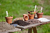 Pot table with soil, drainage, sand and clay pots