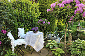 Small terrace with seating next to Rhododendron