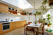 Dining table and chairs in open-plan kitchen with houseplants and skylight