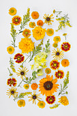 Tableau of yellow, orange and red flowers