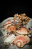 Scallop shells and dried flowers