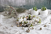Easter wreath of egg box segments, egg shells and moss