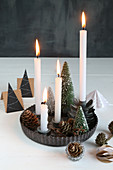 Advent wreath made from miniature Christmas trees in metal flan tin