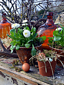 Rustic Easter arrangement with daisy and Easter eggs