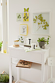 Pressed leafy branches sandwiched in glass above console table with flower press on shelf