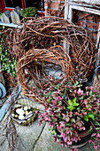 Wicker wreaths, hellebore and Easter nest