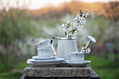 Cups, saucers, small watering can and fruit blossom