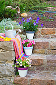 Petunias, balloon flowers and million bells in painted terracotta pots