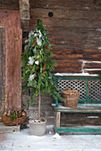 Weihnachtlicher DIY-Stabbaum aus verschiedenen Nadelzweigen gebunden