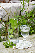 Carafe of water with mint
