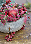 Metal bowl filled with haws, apples and heather