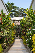 Path to the house lined with exotic plants
