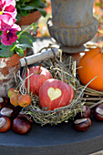 Small basket with apples, heart cut into the bowl as decoration