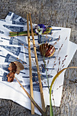 Chopsticks, sweet chestnuts, grasses and viola on Japanese paper