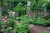 Box tree garden with roses and an antique garden bench