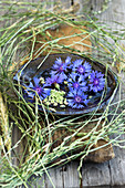 Bowl with cornflower blossoms, framed by grass