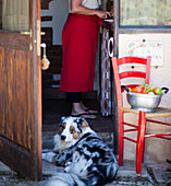 Frau schneidet Gemüse in rustikaler Küche mit Hund