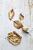 Leaves sprayed with gold paint
