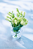 White carnations in glass of water