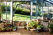 Mediterranean decor in the greenhouse with ornamental plants in terracotta pots