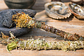 Fresh and dried herbal smudge sticks
