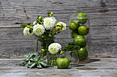 Weiße Pompondahlien und grüne Tomaten in Glasgefäßen und Hauswurz auf Holzuntergrund
