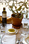 Gedeckter Tisch mit Pflanze und Olivenöl