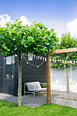 Bench against black shed in modern, linear garden