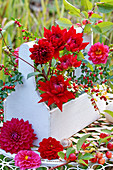Red dahlias in white-painted wooden bottle carrier