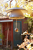 Bird feeder made from cup and saucer
