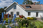 Blooming summer garden of white country house