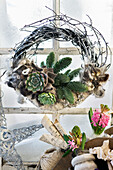 Christmas wreath with sheep's wool, succulents and spruce branches